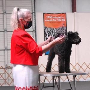 Meet your Posher, Heather